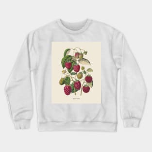 Purple Raspberry Antique Botanical Illustration Crewneck Sweatshirt